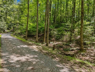 0 Paradise Ln Unit 417131, Ellijay, GA 30540