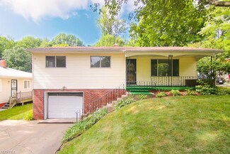1131 Jason Ave, Akron, OH 44314