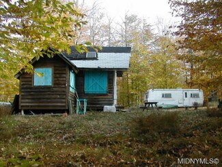 378 Unclemier Rd, Cold Brook, NY 13324
