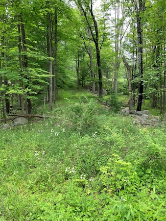 287 Church Rd, Shawangunk, NY 12566