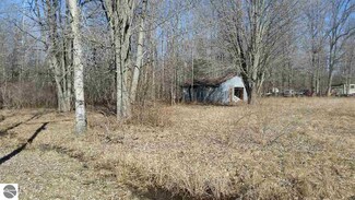 1393 N Coleman Rd, Shepherd, MI 48883