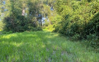 0 148th Path First Lot Unit 108737, Live Oak, FL 32062