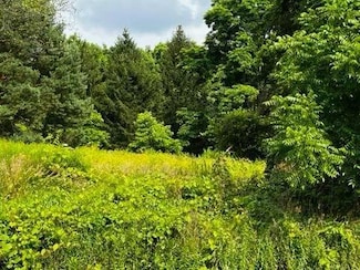 0 Pine Tree Rd, Ithaca, NY 14850