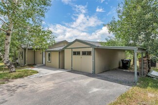 26274 Cornelius St, Conifer, CO 80433
