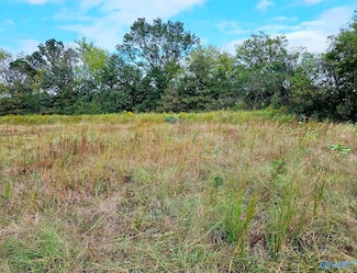 2658 Gordon Terry Pkwy, Decatur, AL 35601