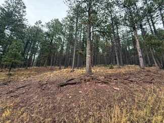 Lot 86 Mammoth Mountain Rd, Angel Fire, NM 87710