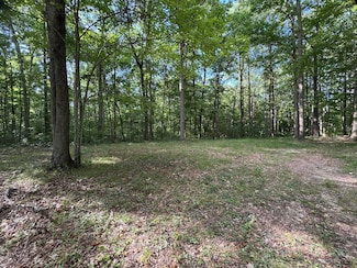 227 Hawk Branch Ln, Columbia, KY 42728