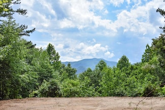 507 Wood Duck Way, Qualla, NC 28789
