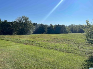 0 Us Hwy 231 Unit 21398012, Ashville, AL 35953