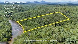 0 Peaceful Waters Ln Unit 10454700, Demorest, GA 30535