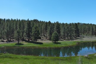 29951 Oregon Pines, Beatty, OR 97621