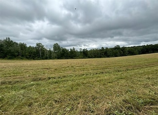 Lot 3, 00 Browntown Rd, Lindley, NY 14858