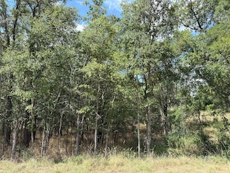 103 & 105 Kikipua, Bastrop, TX 78602