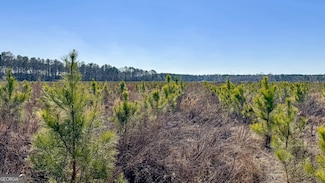 0 N Highway 301 Unit 14, Statesboro, GA 30461