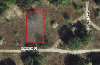 2306 Madison St, Inverness, FL 34453
