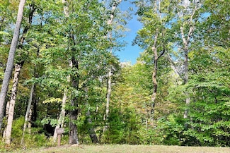 Lot 162 Trailwood Dr, Ellijay, GA 30536
