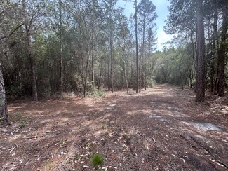 C12 Meander Creek Ln, Laurel Hill, FL 32567