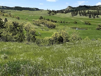E11 Black Bear Rd, Hulett, WY 82720