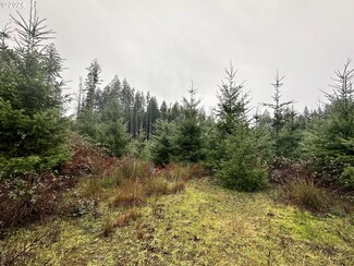 0 Rabinsky Rd, Scappoose, OR 97056