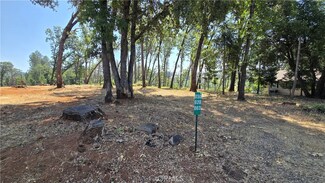 0 Adrian Dr Unit SN25128482, Magalia, CA 95954