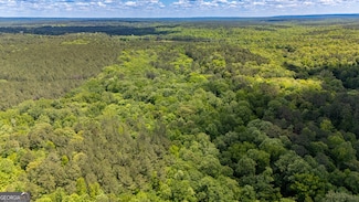 37.23 ACRES / 0 Smokey Rd, Lagrange, GA 30241