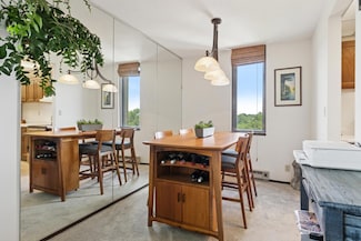 1181 Edgcumbe Rd Unit 501, Saint Paul, MN 55105