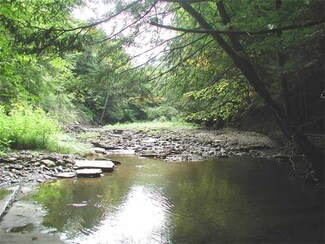 9050 Knapp Rd, West Falls, NY 14170