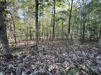 0 Tobaccoport Rd, Bumpus Mills, TN 37028