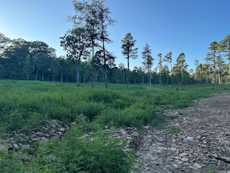 000 Private Road 4485, Clarksville, AR 72830