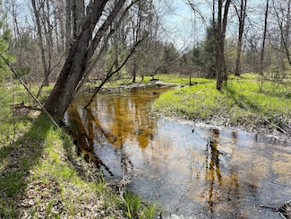 00 Unit N. Benson Road, Fountain, MI 49410