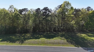 14 Worthington Ln, Guntersville, AL 35976
