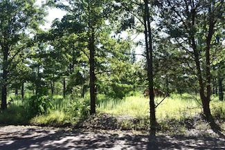 TBD, Palestine, TX 75803