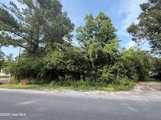 89 Pine Circle Dr, Tabor City, NC 28463