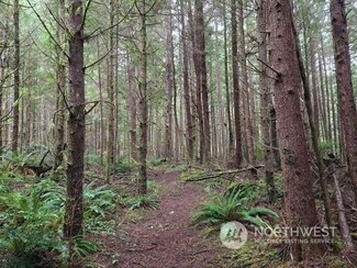 0 Off of Plum St, Ocosta, WA 98520