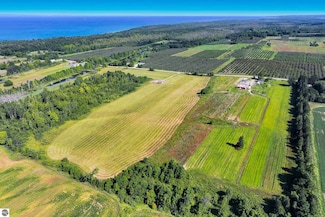 13295 Coleman Rd, Kewadin, MI 49648