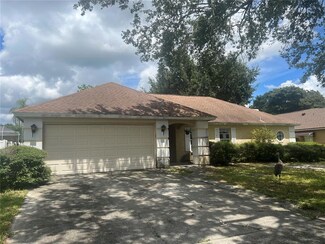 1404 Midoneck Ct, Valrico, FL 33596