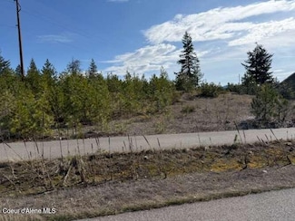 0 Madison Unit 25-3238, Spirit Lake, ID 83869