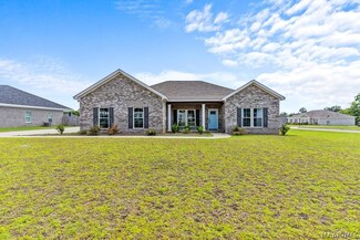399 Magnolia Ln, Newton, AL 36352