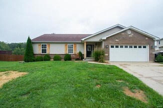 41 Village Circle Dr, Winfield, MO 63389