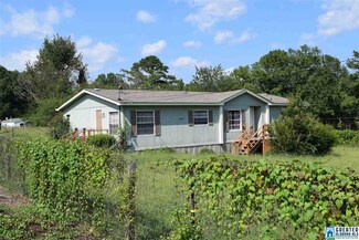 219 Cannie Phillips Rd, Sumiton, AL 35148
