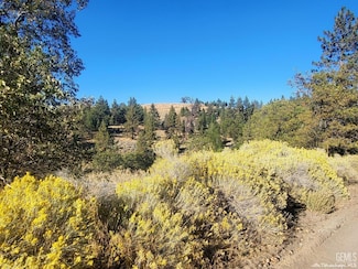 16851 Interlaken St, Tehachapi, CA 93561