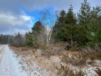 TBD Eagle Hill Rd, Beaver Island, MI 49782