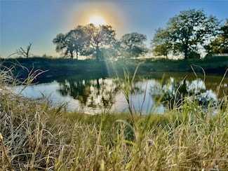 14114 Howard Lake Ct, Lipan, TX 76462