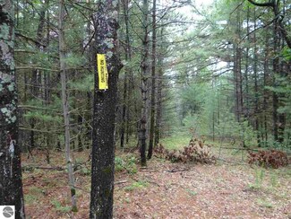 0 Buckhorn Acres Rd, Prescott, MI 48756