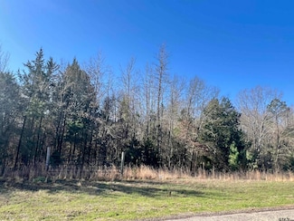 TBD Cr 1400, Mount Pleasant, TX 75455