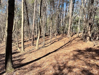 Lot 32 Lakeview Cir, Ellijay, GA 30536