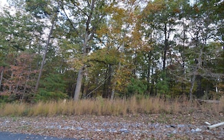 Lot 2 Serenity Ridge Ln, Blairsville, GA 30512