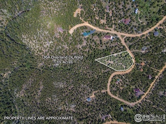 364 Overland Dr, Ward, CO 80481
