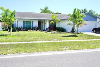 6704 Rosemary Dr, Tampa, FL 33625