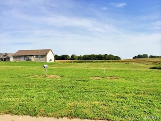 517 Bluff Meadows Dr, Valmeyer, IL 62295